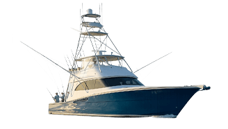 Deep Sea Fishing